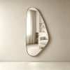 Asymmetrical Wall Mirror Organic Asymmetrical Wall Mirror