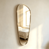 Brushed Gold Framed Organic Wall Mirror Organic Pebble Wall Mirror