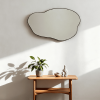 Freeform Mirror Organic Freeform Metal Wall Mirror