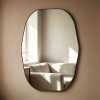 Organic Metal Framed Wall Mirror
