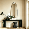 Irregular Wall Mirror Organic Irregular Wall Mirror