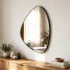 Organic Shaped Mirror Pebble Shaped Metal Wall Mirror