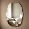 Organic Metal Framed Wall Mirror